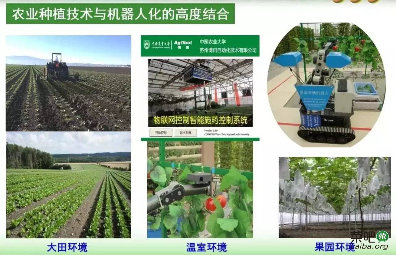农业 下一个高科技行业 蔬菜新闻 菜吧 阳台种菜 Caiba Org 菜吧 Caiba Org