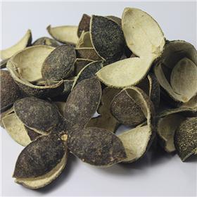 中药材青皮和陈皮的区别