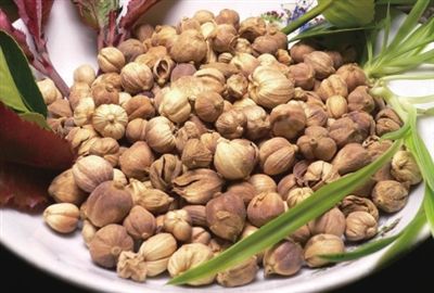 小豆蔻和小豆蔻的区别可以帮助你区分它们